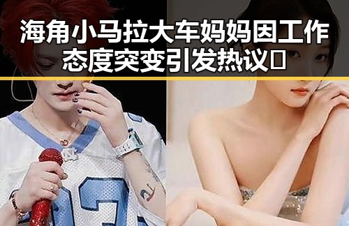 海角小马拉大车妈妈因工作态度突变引发热议🚨