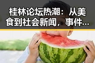 桂林论坛热潮：从美食到社会新闻，事件层层展开